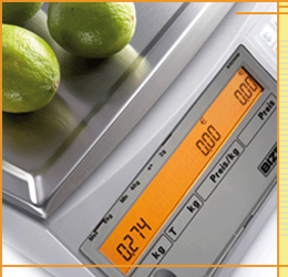 Waagen Steitz Verkauf Service Reparatur